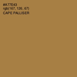#A77E43 - Cape Palliser Color Image